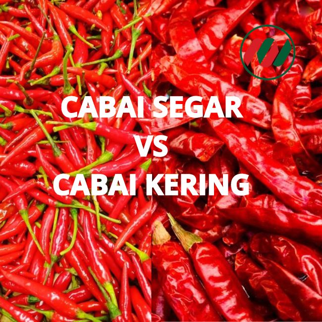 Cabai Segar vs Cabai Kering Lebih Pedas Mana?